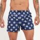 BOXER KEVINGSTON