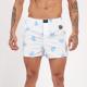 BOXER KEVINGSTON 