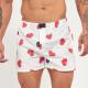 BOXER KEVINGSTON