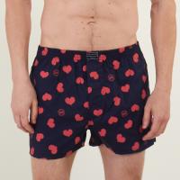BOXER KEVINGSTON 