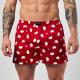 BOXER KEVINGSTON