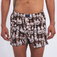 BOXER KEVINGSTON 