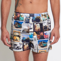 BOXER KEVINGSTON 