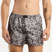 BOXER KEVINGSTON