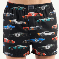 BOXER KEVINGSTON 