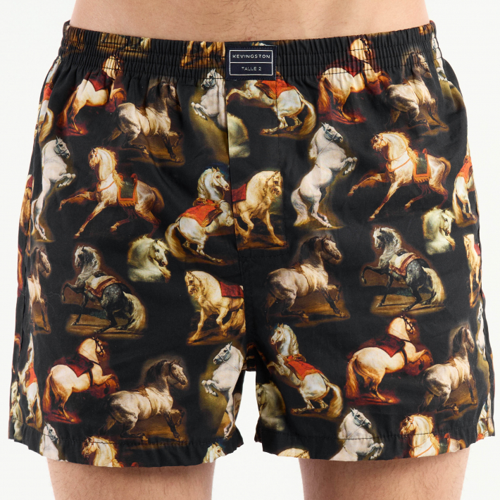 BOXER KEVINGSTON 