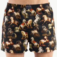 BOXER KEVINGSTON 