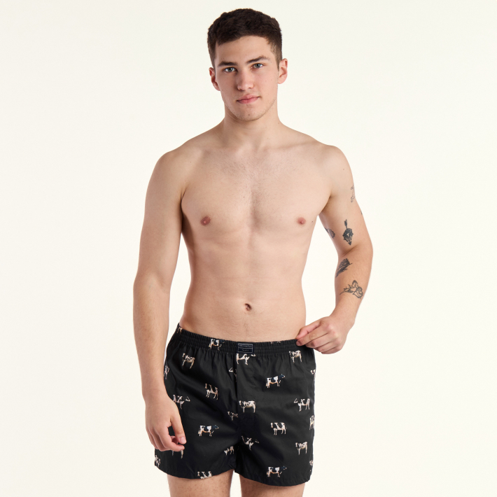 BOXER KEVINGSTON 