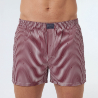 BOXER KEVINGSTON