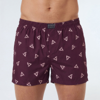BOXER KEVINGSTON