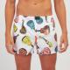 BOXER KEVINGSTON 