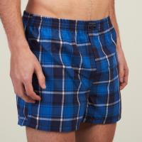 BOXER KEVINGSTON