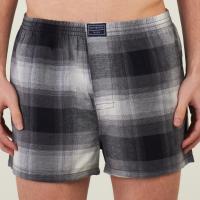 BOXER KEVINGSTON