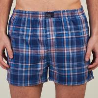 BOXER KEVINGSTON