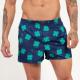 BOXER KEVINGSTON