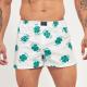 BOXER KEVINGSTON 