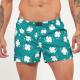 BOXER KEVINGSTON