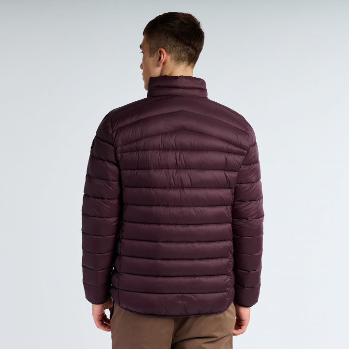 CAMPERA PRODIGY