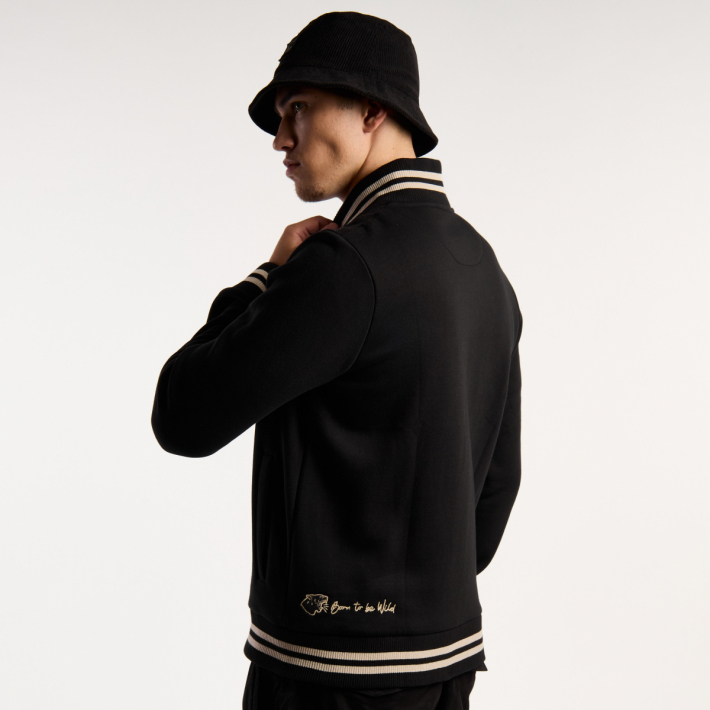 CAMPERA EUROPE