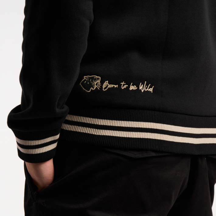 CAMPERA EUROPE