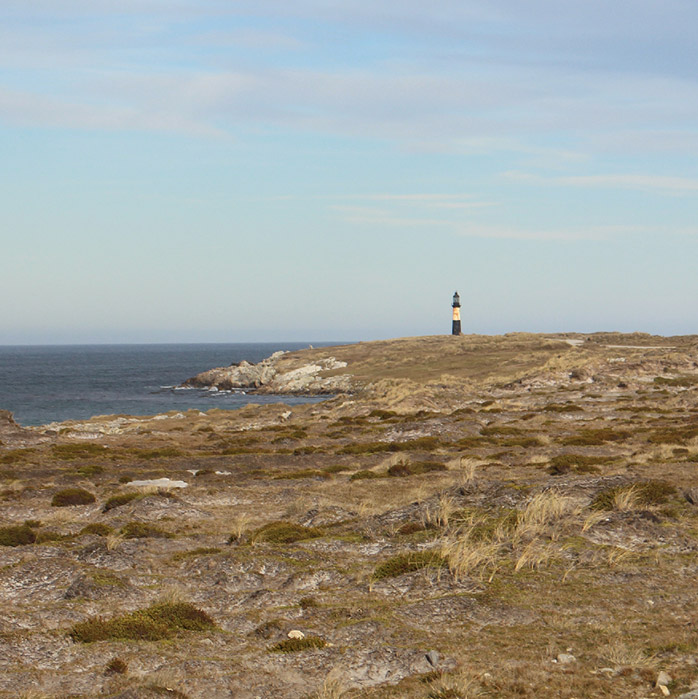 faro
