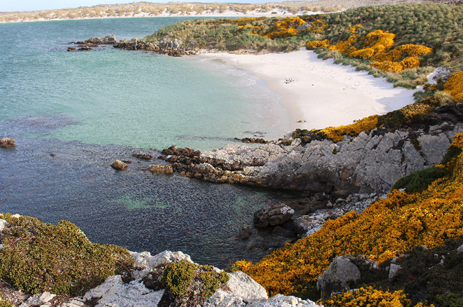 Bahia Islas Malvinas Argentinas